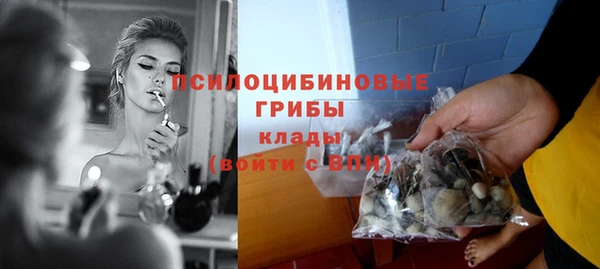 мяу мяу мука Беломорск