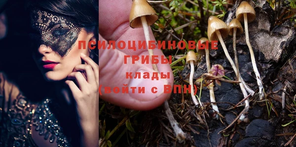 мяу мяу мука Беломорск